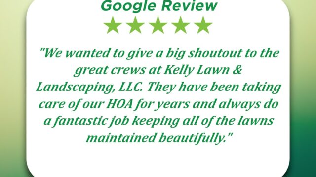 Kelly Lawn