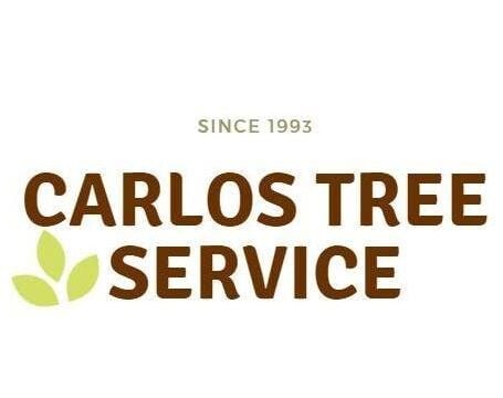 Carlo’s Tree Service
