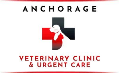 veterinarian