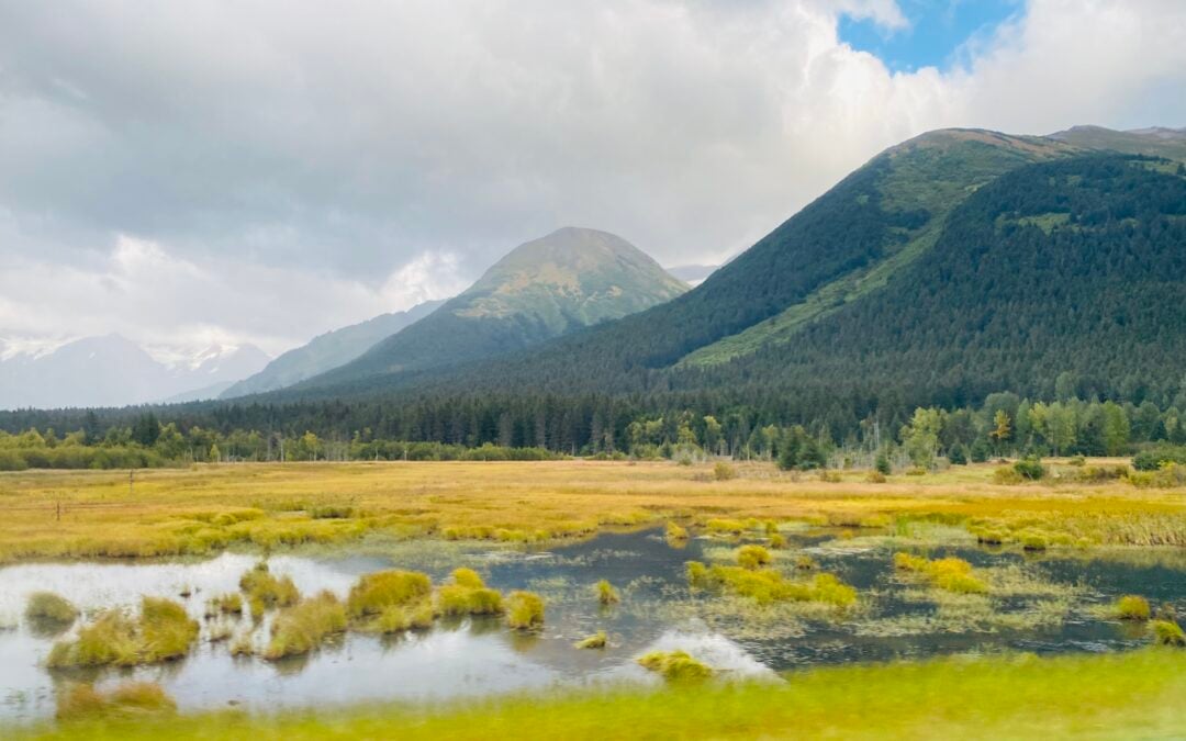 alaska scenery